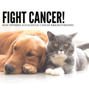 fight cancer! logo with cat and dog laying on floor side by side looking passed camera